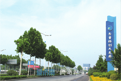 答卷2021 濟(jì)南軟件與信息技術(shù)服務(wù)業(yè)——拼搏不息，“走在前”的強勁引擎